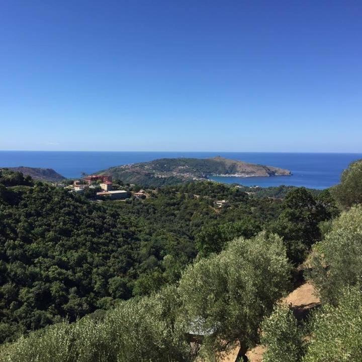 Casa Vacanze Domus Centola Buitenkant foto